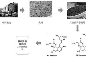 紅曲菌利用麥糟產降脂成分Monacolin K的方法