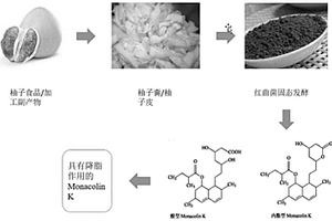 紅曲菌利用柚子副產(chǎn)物產(chǎn)降脂成分Monacolin K的方法