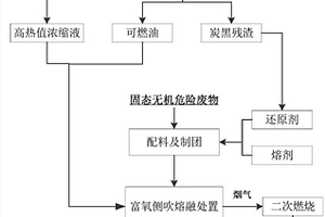 危險(xiǎn)廢物的熔融處置方法