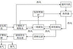 工業(yè)危廢鹽處置及資源化回收利用的裝置與方法