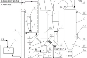 一種高氮高硫膠狀瀝青質(zhì)危廢氣化焚燒系統(tǒng)