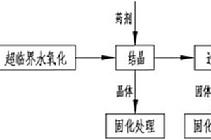 含重金屬、毒性有機(jī)物的液體危險(xiǎn)廢物的處理方法