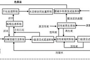 一種廢鹽、廢酸、廢堿、廢活性炭的協(xié)同處置資源化系統(tǒng)