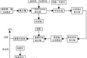 一種高氨氮、高COD廢液處理技術(shù)