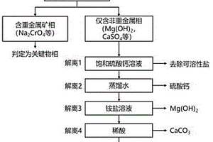 一種判定固體危廢中重金屬關(guān)鍵賦存物相的方法