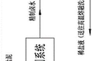 一種廢鹽處置系統(tǒng)