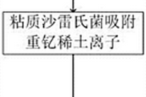 從低濃度重釔稀土廢水中回收稀土的生物方法