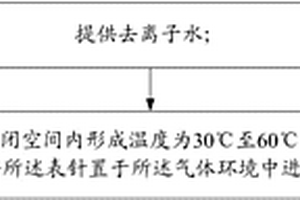 表針的耐腐蝕性能的檢測方法