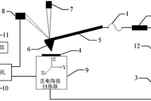 基于掃描探針顯微鏡的材料耐電暈放電老化性能檢測裝置