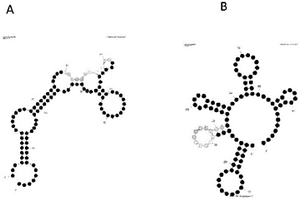 針對(duì)伊馬替尼的適體