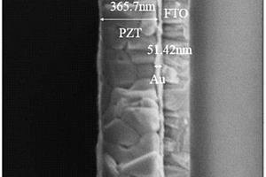 一種鋯鈦酸鉛鐵電薄膜光電極及其制備方法