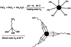 超順磁性Fe3O4/APTES復合納米粒子及其表征方法