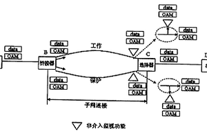 在多協(xié)議標(biāo)簽交換中實(shí)現(xiàn)子網(wǎng)連接保護(hù)的方法和系統(tǒng)