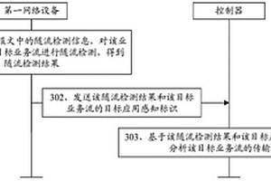 業(yè)務(wù)流的性能檢測方法、裝置及通信網(wǎng)絡(luò)