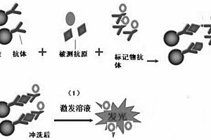 多指標(biāo)聯(lián)檢化學(xué)發(fā)光免疫試劑盒及其制備方法