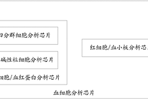 血細(xì)胞分析芯片、分析儀及分析方法