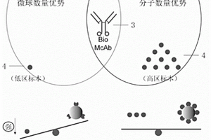 競爭性均相化學(xué)發(fā)光測定試劑盒及其應(yīng)用