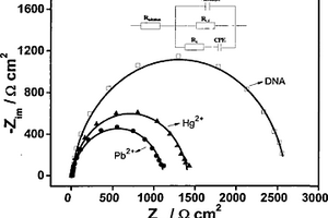 基于電化學(xué)DNA生物傳感器的Pb2+、Hg2+同時(shí)測(cè)定方法