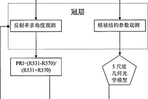 多角度觀測植被冠層陰陽葉光化學(xué)反射指數(shù)的方法