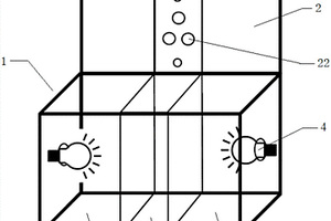 用于監(jiān)測(cè)光化反應(yīng)歷程的電化學(xué)裝置