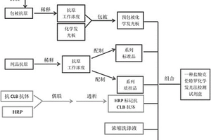 鹽酸克倫特羅化學(xué)發(fā)光法定量測定試劑盒