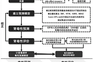 中藥化學(xué)成分腎毒性預(yù)測與評價方法