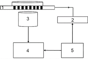 神經(jīng)細(xì)胞網(wǎng)絡(luò)化學(xué)信號(hào)和電信號(hào)同步監(jiān)測(cè)方法