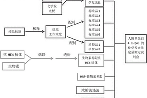 人附睪蛋白4化學發(fā)光酶免疫定量測定試劑盒及應用