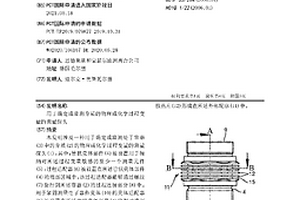 用于確定或監(jiān)測介質(zhì)的物理或化學過程變量的測量探頭