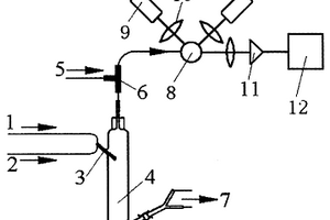 鉻的化學(xué)氣相發(fā)生原子熒光光譜測(cè)量方法及其設(shè)備