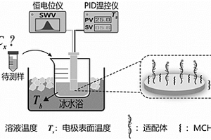 電化學適配體傳感器的免校正定量測量方法