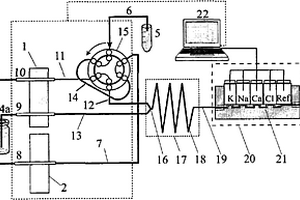 血樣中多電解質(zhì)同時(shí)測(cè)定的流動(dòng)注射微電極串聯(lián)電化學(xué)自動(dòng)方法及裝置