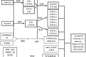 NTN-4化學(xué)發(fā)光酶免疫定量測定試劑盒及應(yīng)用