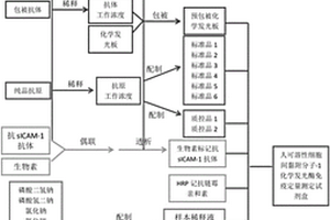 人可溶性細(xì)胞間黏附分子-1化學(xué)發(fā)光酶免疫定量測(cè)定試劑盒及制備方法