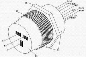 電偶電化學噪聲腐蝕監(jiān)測探針