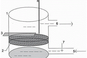 用于測(cè)定化學(xué)需氧量的電解池