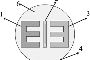 電化學(xué)測試電極