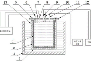 用于模擬深海環(huán)境電化學(xué)測試的電解池裝置