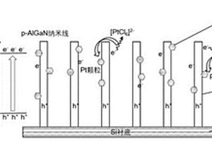 日盲紫外光電化學(xué)光探測器及其產(chǎn)品