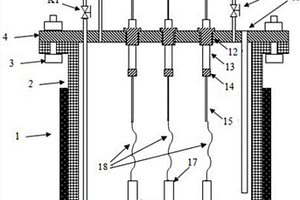 高溫高壓腐蝕電化學(xué)測(cè)量裝置