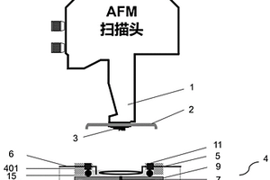 原子力顯微鏡觀察柱狀鋰電極的電化學(xué)測試裝置及方法