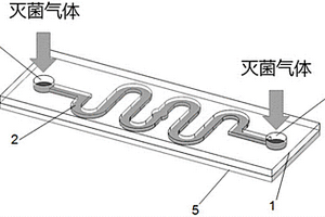 用于監(jiān)測管腔類器械滅菌效果的化學(xué)指示卡