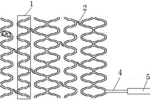 用于電化學(xué)測(cè)試的血管支架