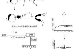 高靈敏度酶聯(lián)免疫吸附分析方法