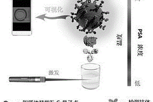 基于光熱及免疫功能化脂質(zhì)體構(gòu)建的便攜式熱成像免疫分析方法