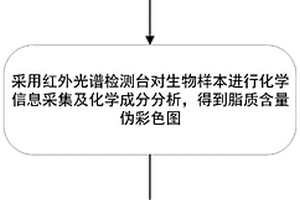 基于紅外光譜成像技術(shù)的法醫(yī)學(xué)肺脂肪栓塞分析方法