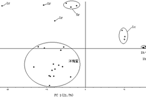 鑒別洋槐蜜與糖漿摻假洋槐蜜的分析方法