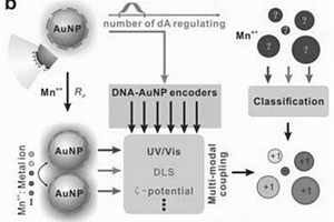 基于DNA-AuNP編碼的交叉響應(yīng)系統(tǒng)的多峰耦合分析方法