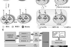 核酸分析方法及應(yīng)用