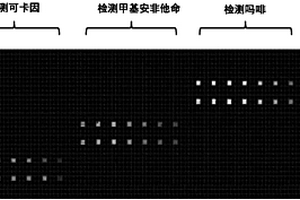 基于磁顆粒納米酶的微流控免疫芯片分析方法及應(yīng)用